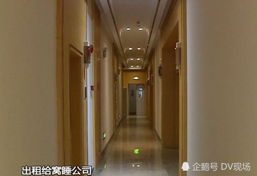 公寓委托酒店管理 业主未同意却被免租，警惕合同陷阱与实际动因